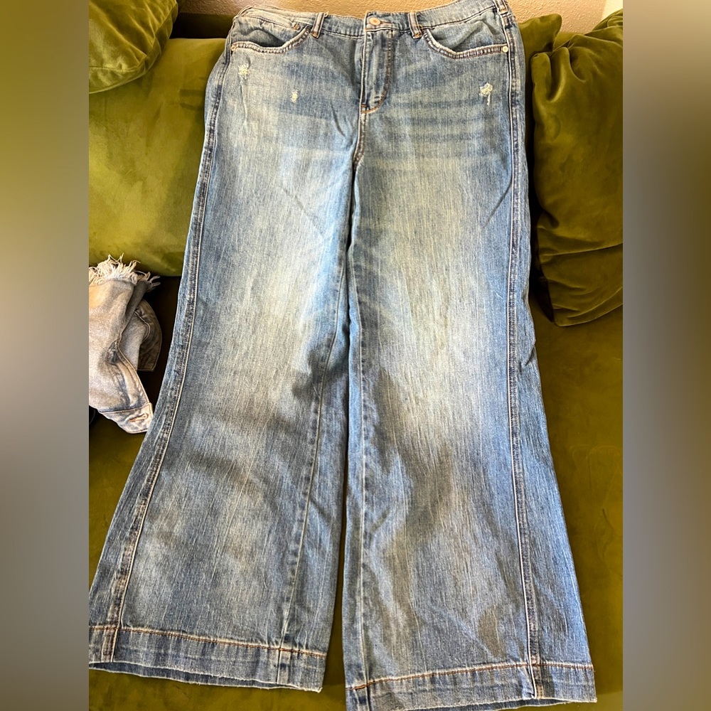 Anthropologie Pilcro wide leg jeans size 29P